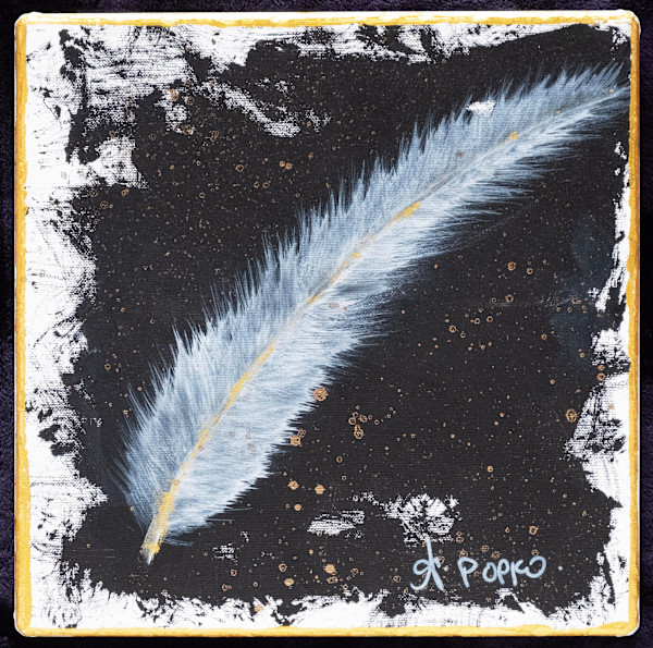 Feather 3 by April Popko
