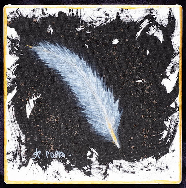 Feather 2 by April Popko