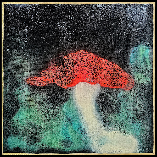 Amanita's Dream by April Popko