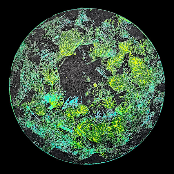 Seed by April Popko, Image 1.
