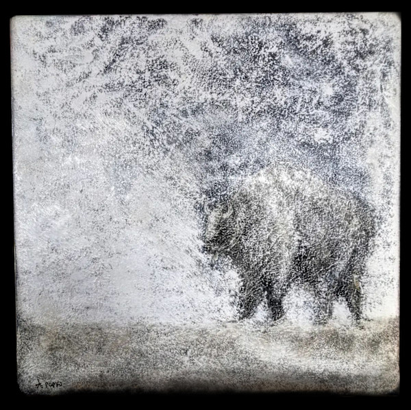 Bison by April Popko