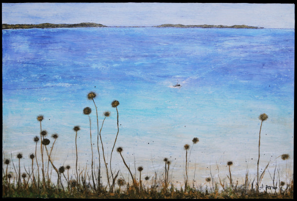 Flora in Gallura by April Popko