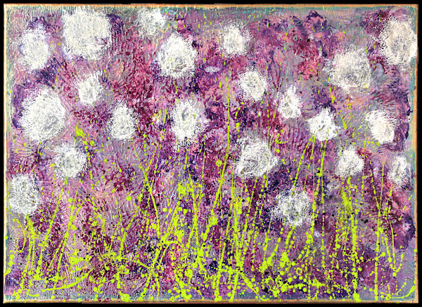 Cotton by April Popko