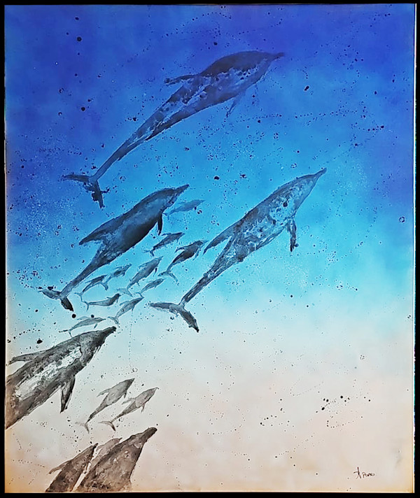 Swimming With Dolphins by April Popko