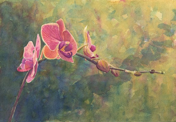 Orchid 1 by Michele Tabor Kimbrough
