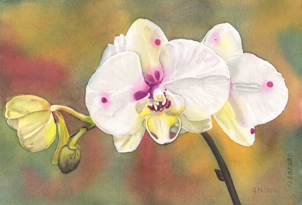 Orchid 8 by Michele Tabor Kimbrough