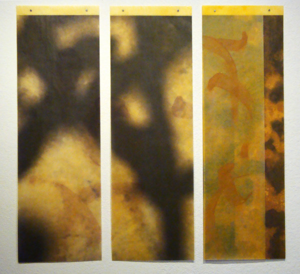 In praise of shadows triptych by Jane Guthridge