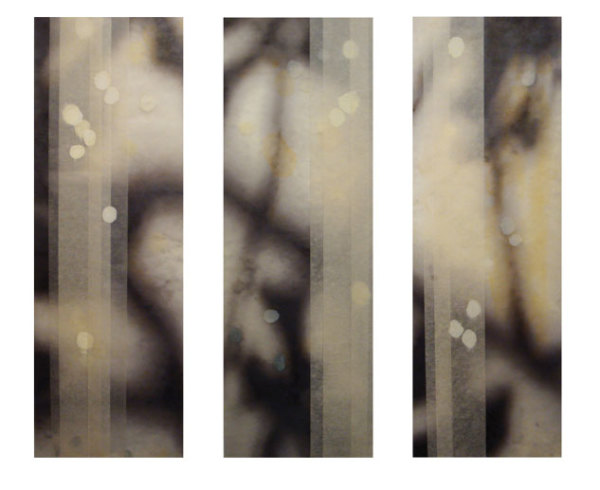 Light Triptych by Jane Guthridge