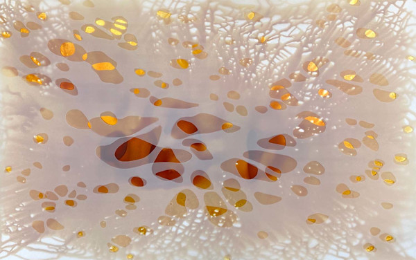 Shimmer 16 by Jane Guthridge