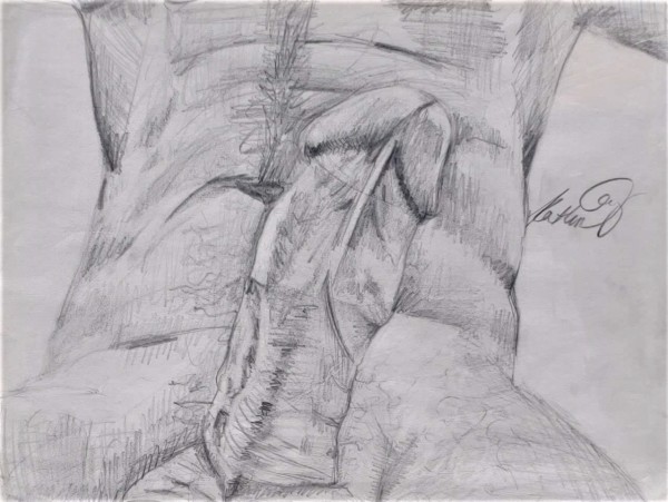 Erection