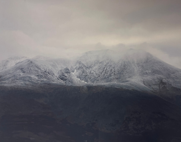 Untitled by Mary Mattingly