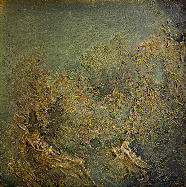 In the Shallows by Abbey Stace