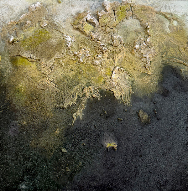 Jealousy by Abbey Stace, Image 1.