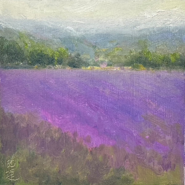 Lavenders in Provence by Betty Huang