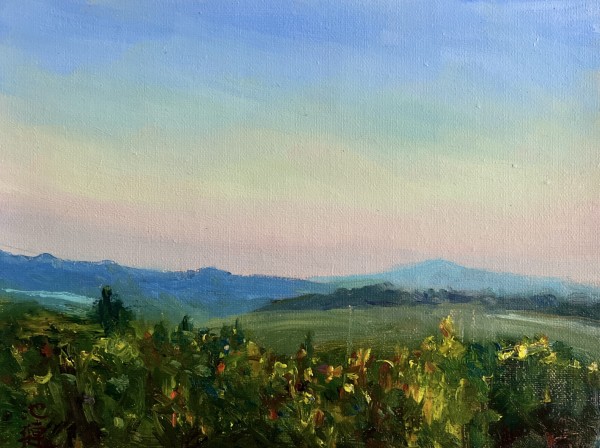 Soft Tuscan Light by Betty Huang