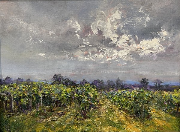 Clouds Over Vineyards by Betty Huang