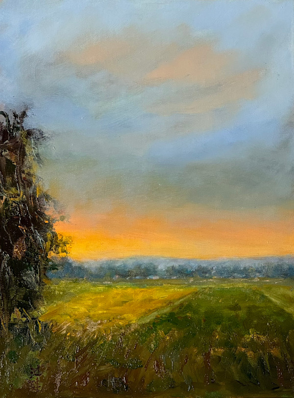 Fields of Sunlit Dreams by Betty Huang