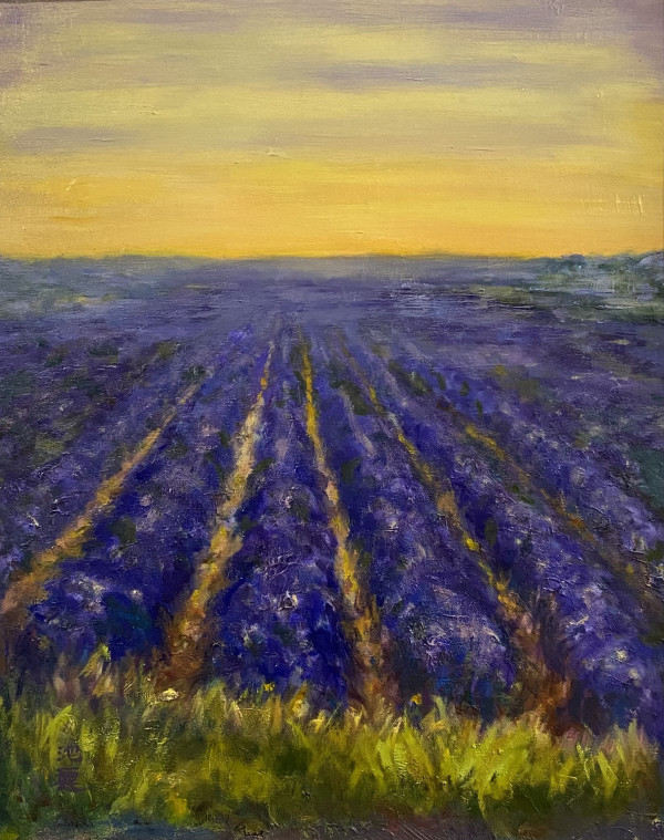 Lavender Sunset by Betty Huang