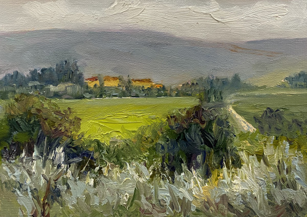Tuscan View by Betty Huang