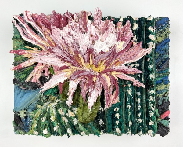 Cactus Flower by Sylvia Calver