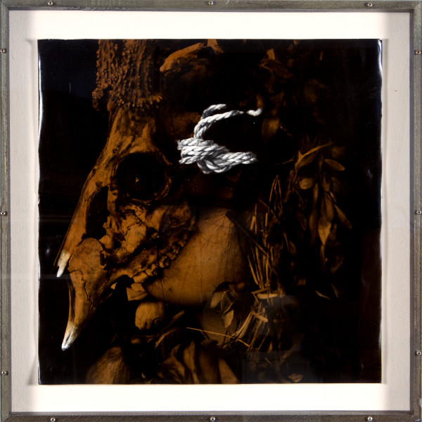 La loteria II by Luiz Gonzaga Palma