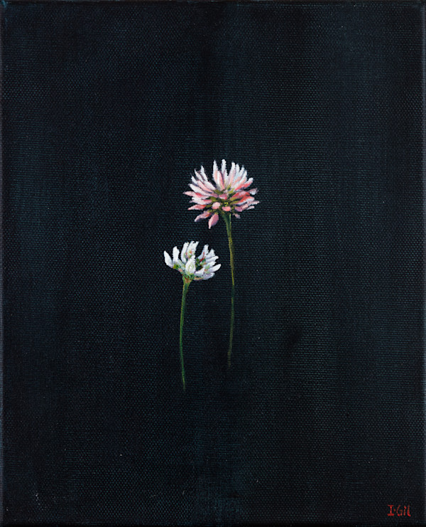 Flor de trébol by Isabel Gil Sánchez