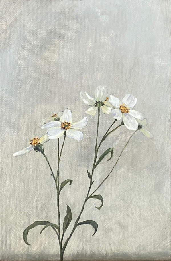 Flores silvestres by Isabel Gil Sánchez