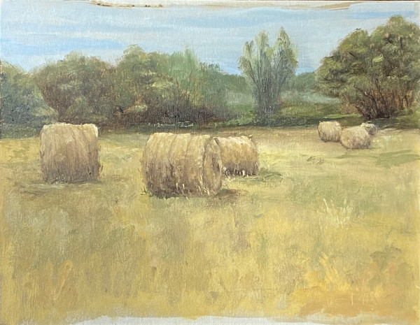 Rulos de hierba seca en Santa Ana by Isabel Gil Sánchez