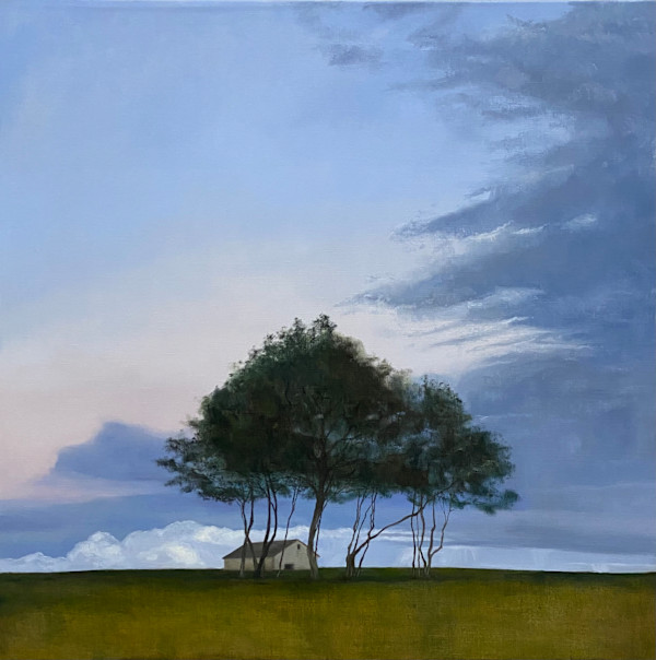 La casa de los locos by Isabel Gil Sánchez