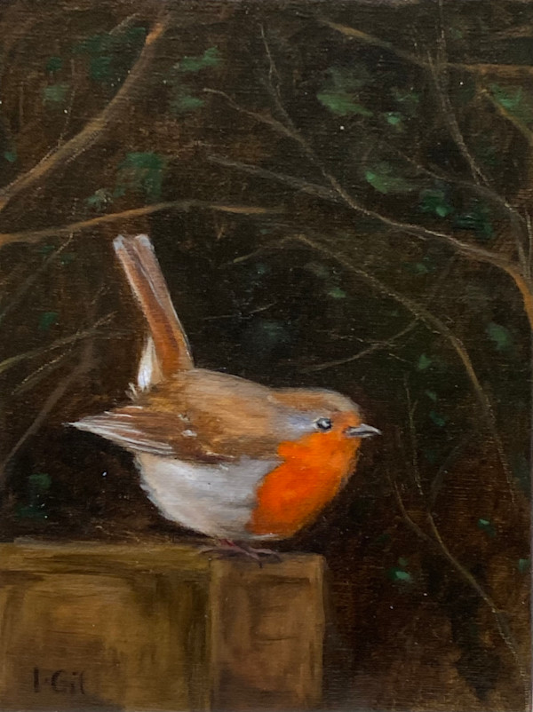 Petirrojo by Isabel Gil Sánchez