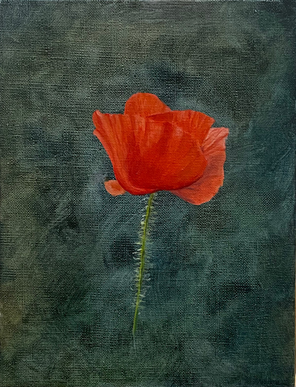 Amapola by Isabel Gil Sánchez