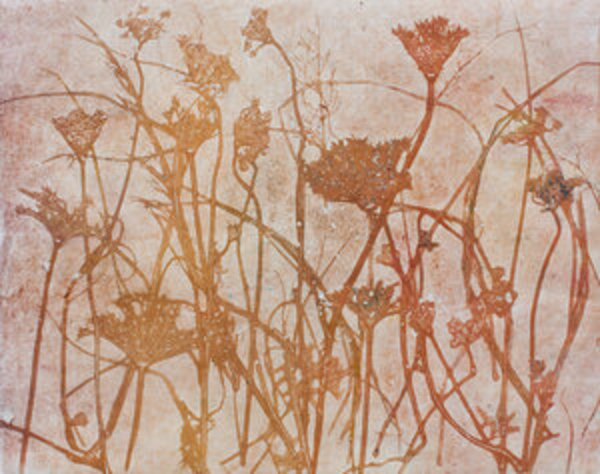 Botanical Series #5 by Sharon Whitham