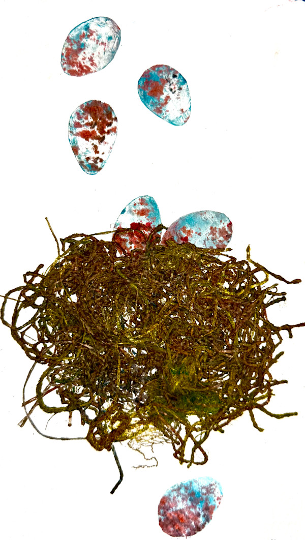 Nest and Eggs Series by Sharon Whitham, Image 1.