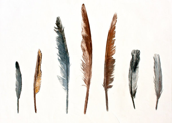 Crown of Feathers Series #2