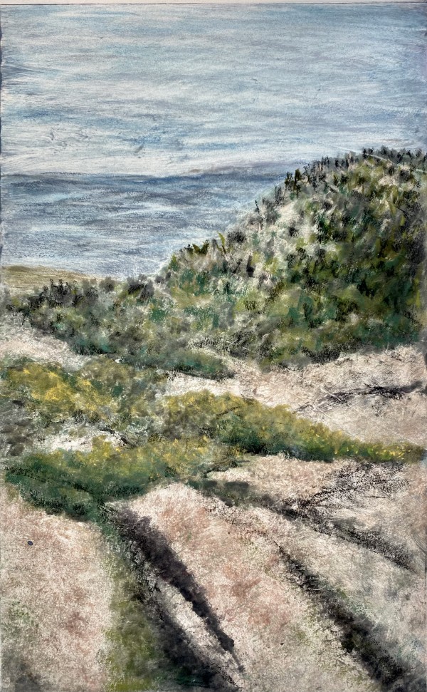 The View from Cadillac by Sharon Whitham