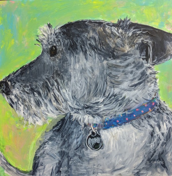 Sydney by Shannon Davis Brock