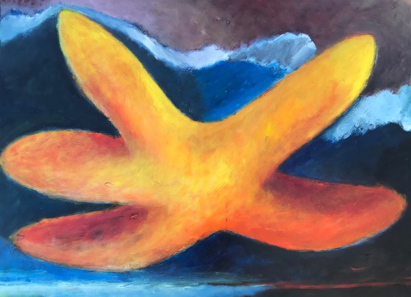 1263 Starfish by Judy Gittelsohn