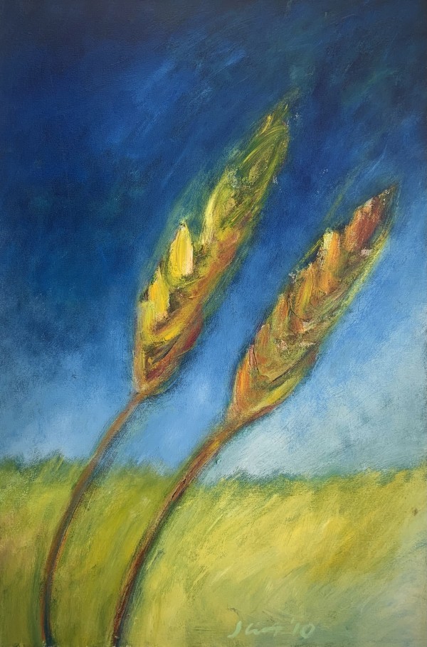 1065 Wheat by Judy Gittelsohn