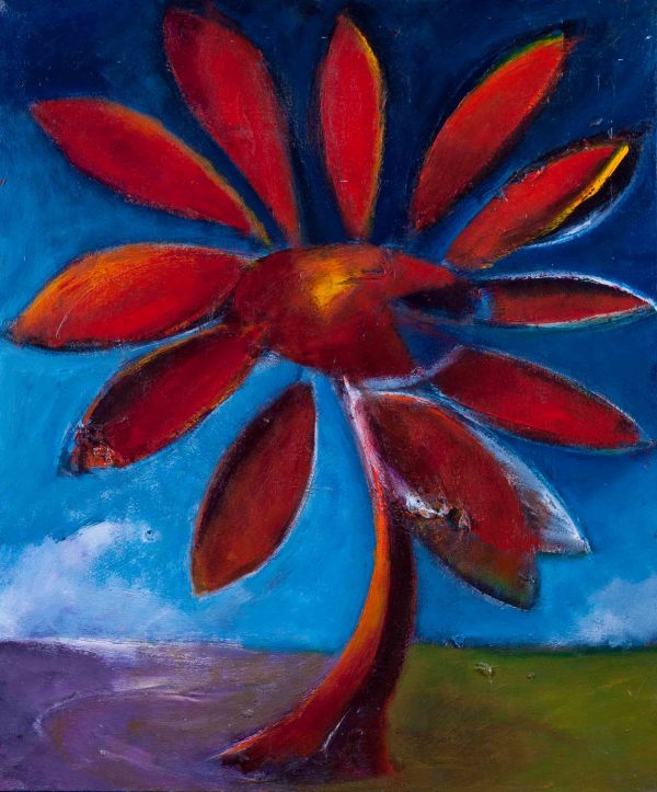 1097 Red Daisy by Judy Gittelsohn