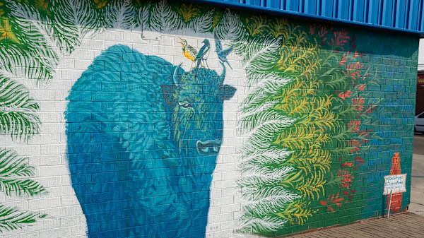 50 in 50 Murals (Cheyenne, WY) by Marcus, Desirée Brothe