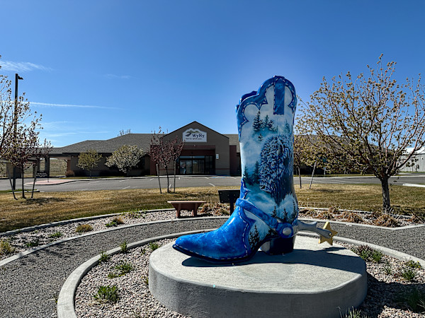 WyHy Boot by James Overstreet