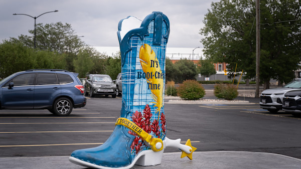 Blue Cross Blue Shield by James Overstreet