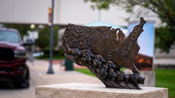 Buffalo Nation by Chris Navarro