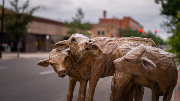 Cow Girls Get the Moos by Karryl Salit