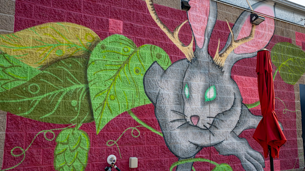 Hoppy Rabbit by Brendon Atkinson
