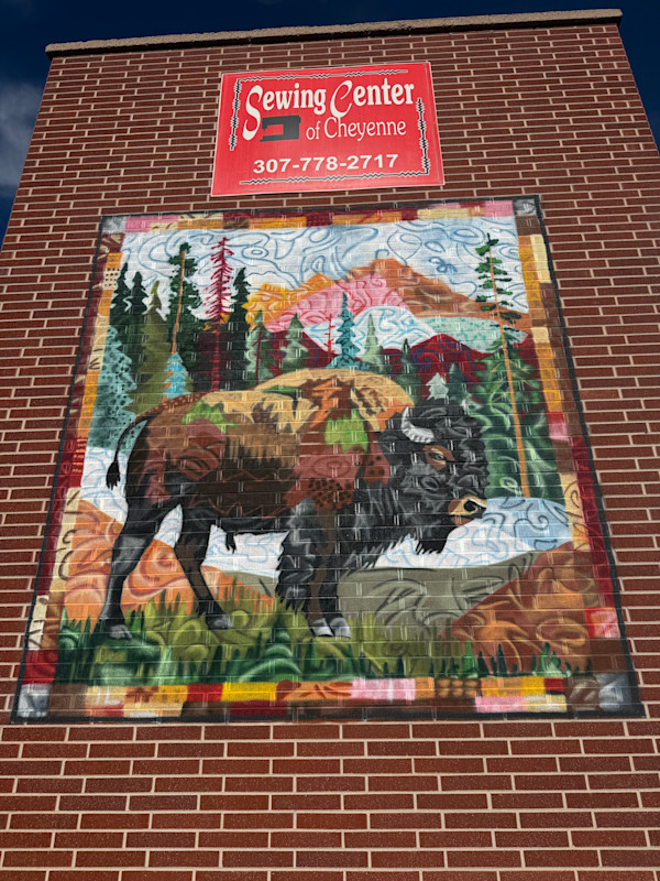 Bison Quilt by James Overstreet