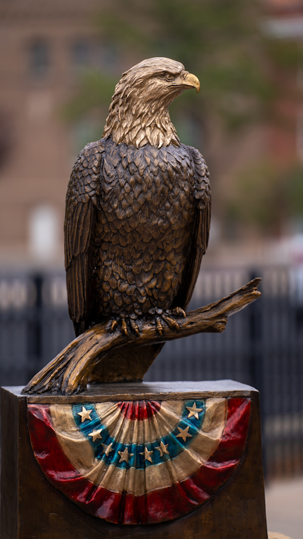 Majestic Raptor by Christine Knapp
