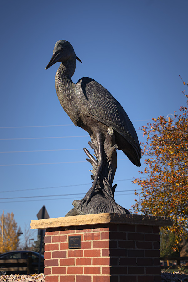 The Great Blue by Rich Haines