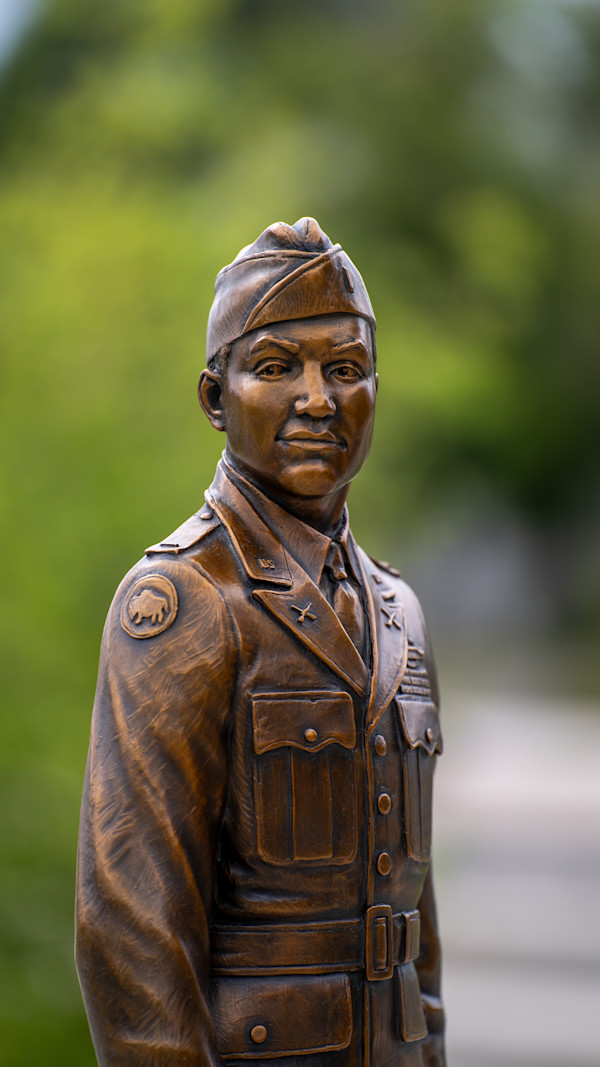 Cheyenne's Tribute: The Valor of Vernon Baker by LaQuincey Reed
