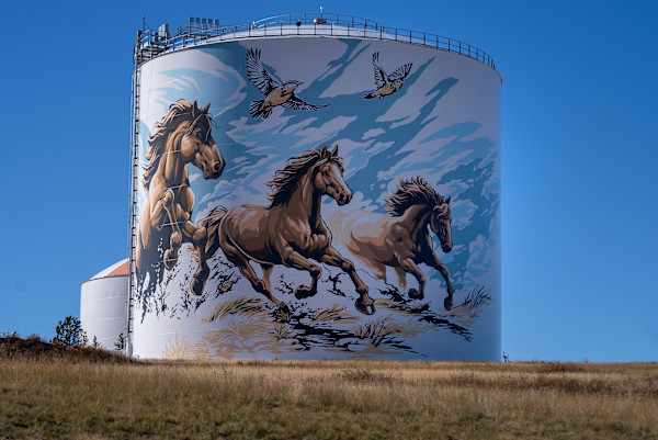 Water Tower Mural - North Tower by Jordan Dean